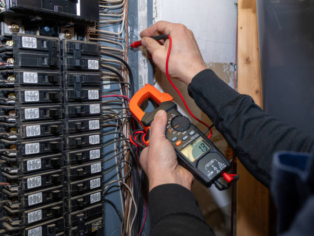 Best Electric Panel Repair  in Brocton, NY